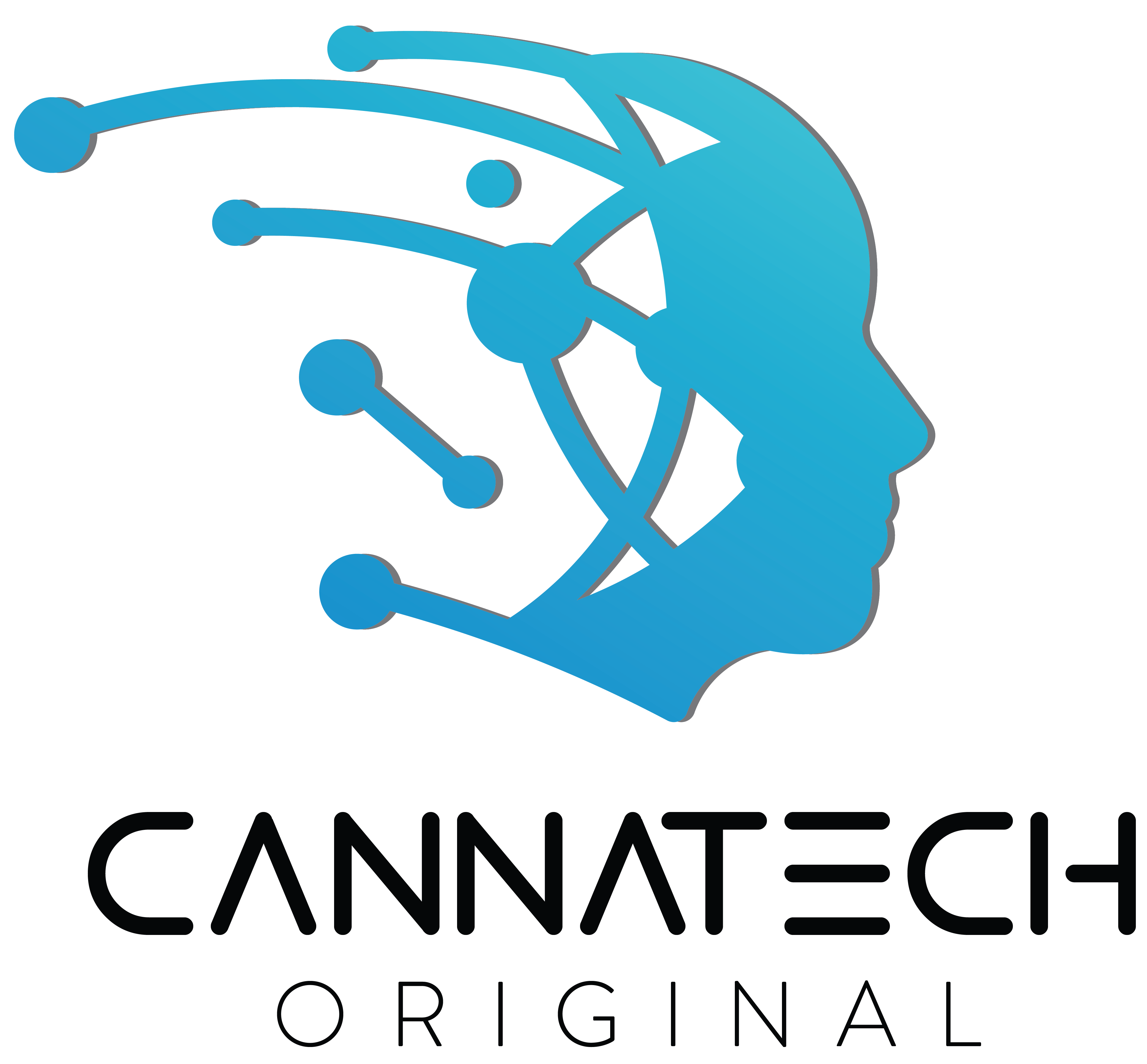 Cannatech Original CBD Bar